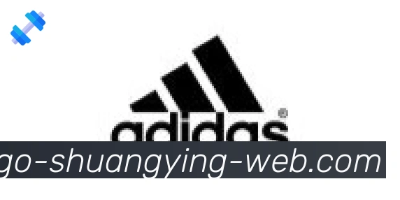双赢彩票入口合作伙伴