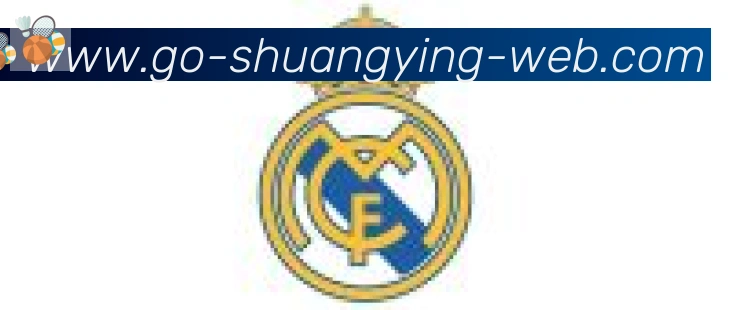 双赢彩票入口合作伙伴